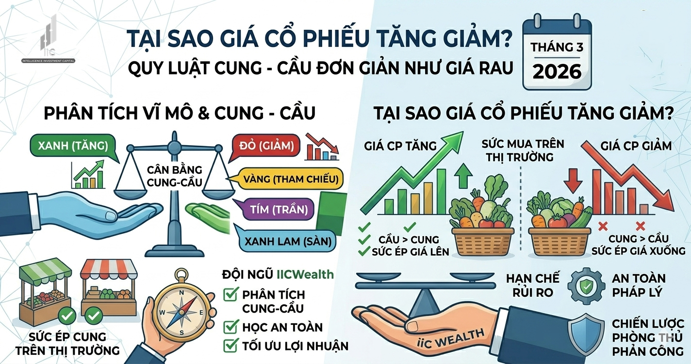 Tai-sao-gia-co-phieu-tang-giam-Quy-luat-Cung---Cau-doan-gian-nhu-gia-rau
